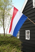 Nederlandse vlag