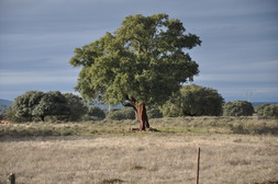 spanje 2010