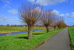 fietspad met met bomen en een beekje